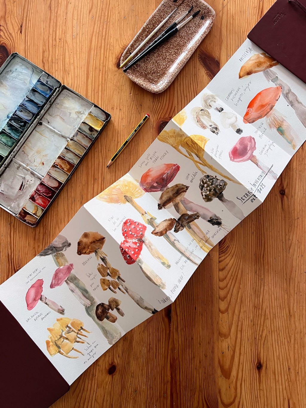 Flow and Fusion 15&nbsp;Nov.